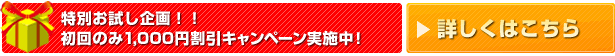 初回お買い上げ特別割引実施中！詳しくはこちら！